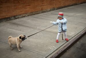 Leash & Liberty